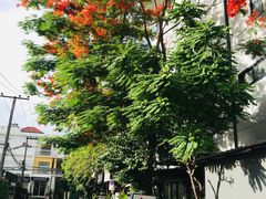 -宁曼路