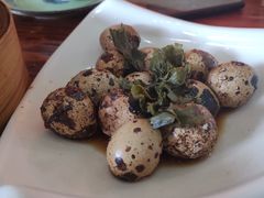 -伯乐居茶艺馆(石岐大信店)