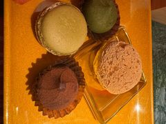 -牛New寿喜烧(金鹰世界店)