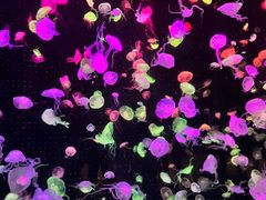 -珠海长隆海洋王国