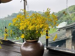 -远山有窑