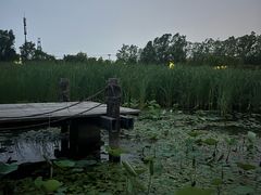 -马家湾湿地公园