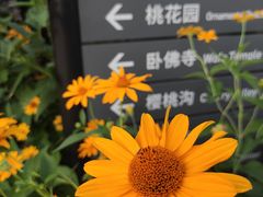 -国家植物园南园