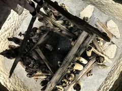 -河姆渡遗址博物馆