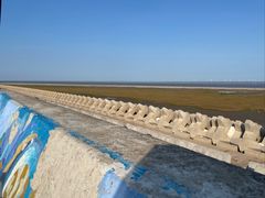 -南汇嘴观海公园