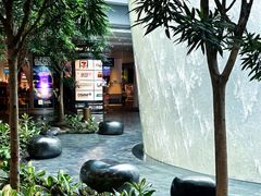 -海南宝(星耀樟宜店)