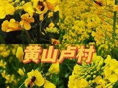 -东湖生态旅游风景区