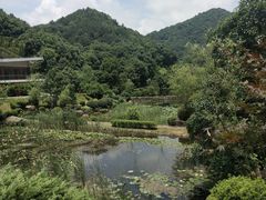 -桃花岭景区