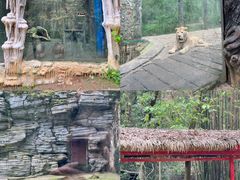 -贵州森林野生动物园
