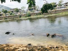 -杭州双溪漂流景区
