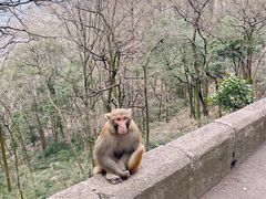 -黔灵山公园