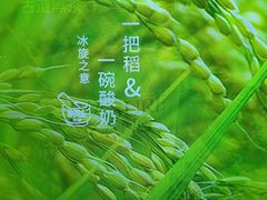 -淡马茶坊(深圳宝安壹方城店)