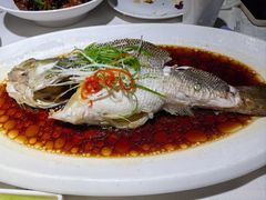 -鸭王烤鸭店(三里河店)