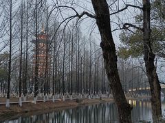 -洋湖国家湿地公园