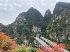 -牛背梁国家森林公园