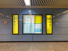 -大龙山(地铁站)