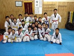 -金翼跆拳道巴西柔术拳击格斗学院