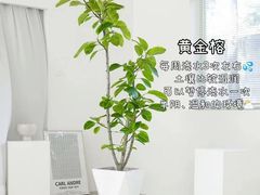 -京东家装(昆明总店)