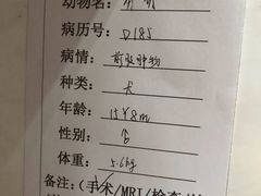 -北京派仕佳德动物医院·超导核磁·CT·神经科·骨科·内外科·急重症管理中心