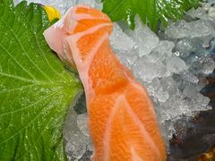-赤谷和牛烧肉居酒屋(石景山店)
