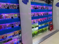 -三旗百汇商品城