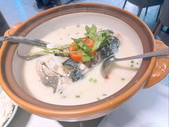 -全乐鱼馆·淳牌有机鱼直营店