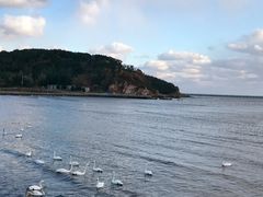 -烟墩角天鹅湖