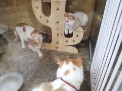 -花苑里咖啡(威远店)