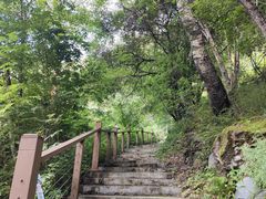 -叠溪松坪沟景区