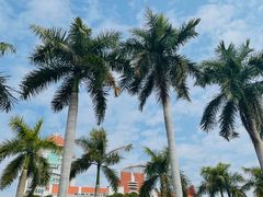 -厦门大学(思明校区)