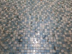 -涨巢·潮玩水疗局