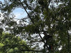 -东天目山风景区