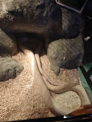 -酷嗒动物文化乐园(cutezoo西溪乐天城店)