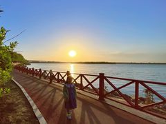 -丁香湖公园