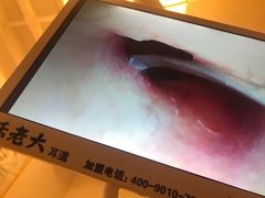 -乐老大耳道·可视采耳·禅洗(柏林爱乐直营店)