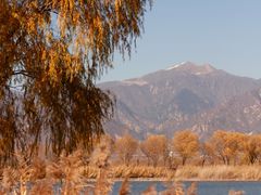 -野鸭湖国家湿地公园