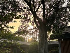 -府河摄影公园