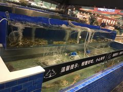 水产区-圣罗巴海鲜自助(黑金店)
