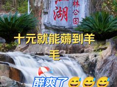 -广州白江湖森林公园