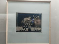 -湖州博物馆