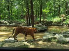 -北京野生动物园