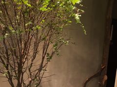 -森SPA·泰式按摩·精油Massage(宝安中心店)