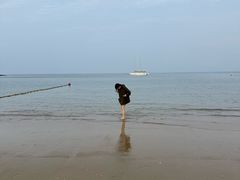 -养马岛旅游度假区