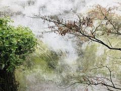 景点-西塘古镇-倪宅