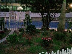 -金港健身游泳(水围店)