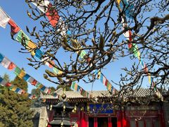-西安市广仁寺