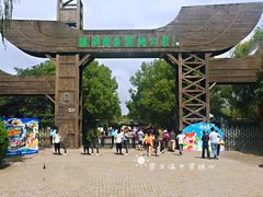 -溱湖国家湿地公园