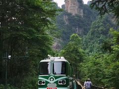 -大连天门山国家森林公园