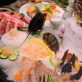 南京筑地市场 最具性价比海鲜姿造聚餐宴请