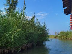 -泗洪洪泽湖湿地景区